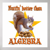Algebra Eichirrel Poster (Vorne)