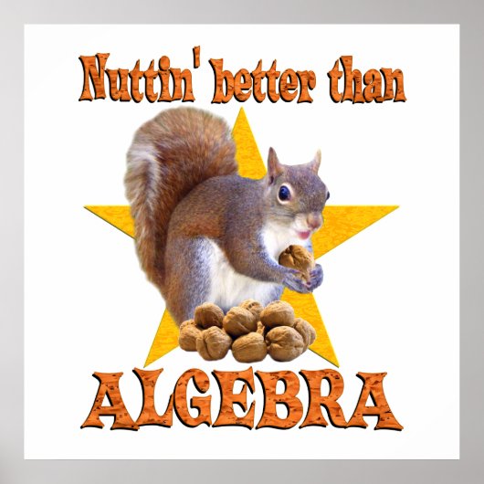 Algebra Eichirrel Poster (Vorne)