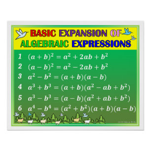 Algebra Math Classroom Poster - Grünwald