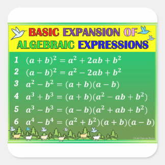 Algebra Math Classroom Stickers - Grünwald