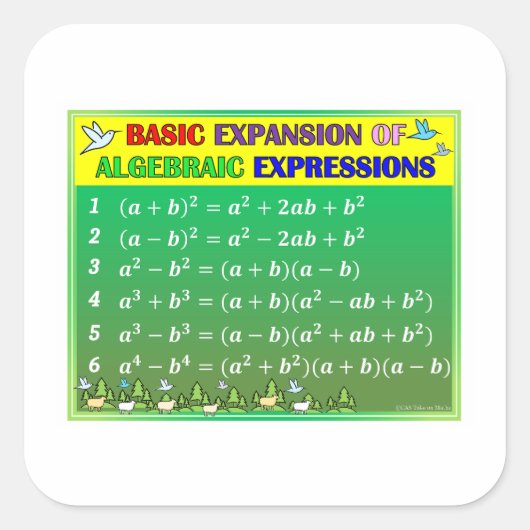 Algebra Math Sticker - Grünwald (Vorderseite)