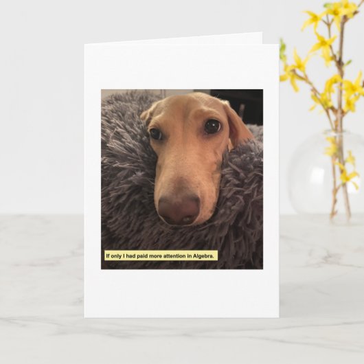 Algebra MillieGram Karte (Gelbe Blume)