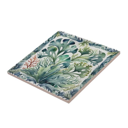 Algen Fliese (Seite)