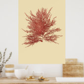 Algen, gepresst, vier von vier poster (Küche)