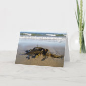 Algen! Karte (Vorderseite)