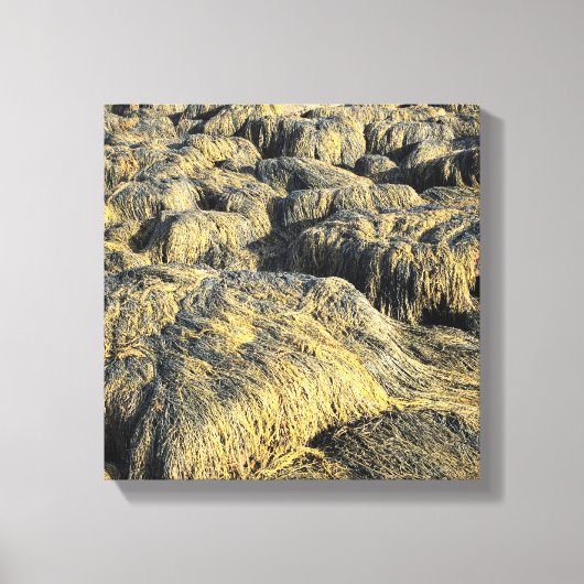 Algen Leinwanddruck (Vorderseite)