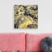 Algen Leinwanddruck (Insitu (Wohnzimmer))