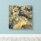 Algen Leinwanddruck (Insitu (Holzboden))