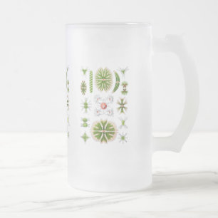 Algen Mattglas Bierglas