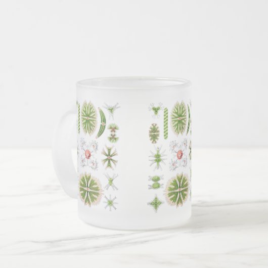 Algen Mattglastasse (Vorderseite Links)