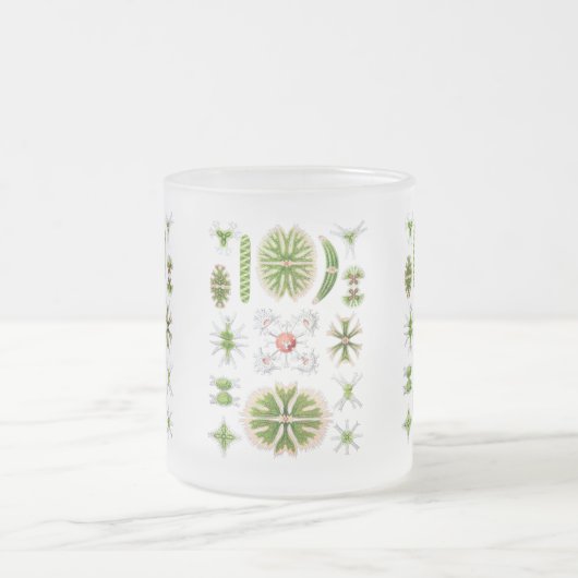 Algen Mattglastasse (Mittel)