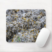 Algen Mousepad (Mit Mouse)
