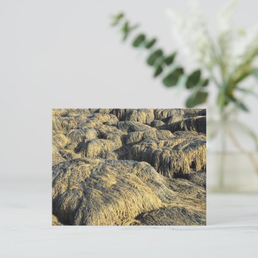 Algen Postkarte (Stehend Vorderseite)