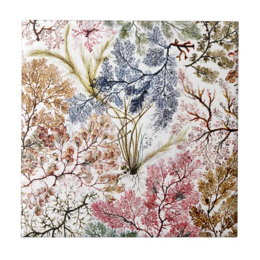 Algen Seidenstoffe Kunst Fliese (Vorderseite)