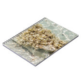 Algen Spiral Foto Notizbuch Notizblock (Linke Seite)