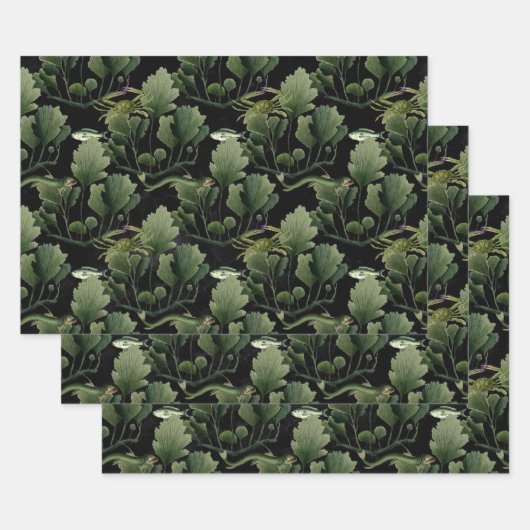Algen und Fische auf Schwarz Geschenkpapier Set (Set)