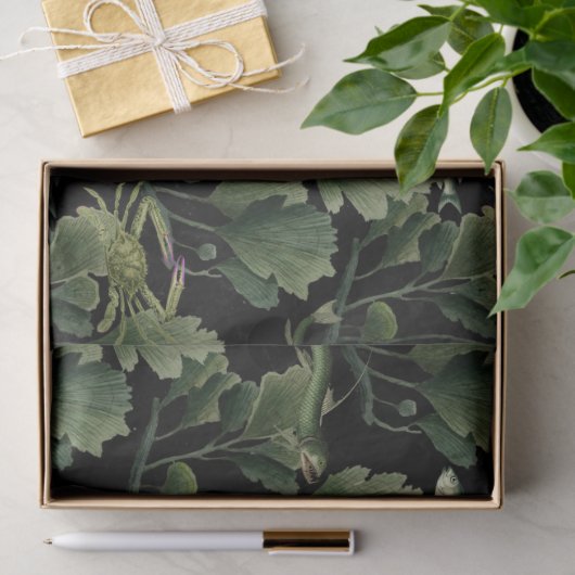 Algen und Fische auf schwarzer Decoupage Seidenpapier (Geschenk)