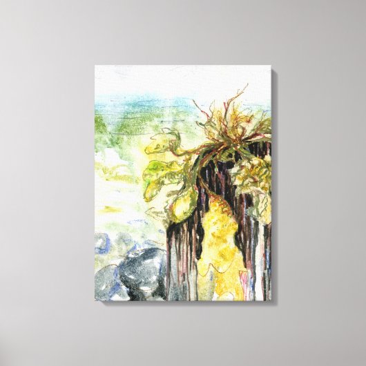 Algen und verschwindender Strand unter dem Regen Leinwanddruck (Vorderseite)