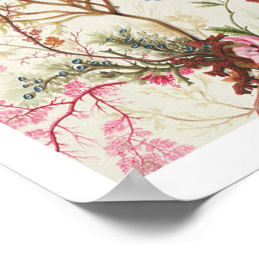 Algenbauweise für Seidenmaterial (w/c auf Papier) Poster (Ecke)