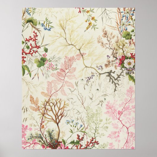 Algenbauweise für Seidenmaterial (w/c auf Papier) Poster (Vorne)