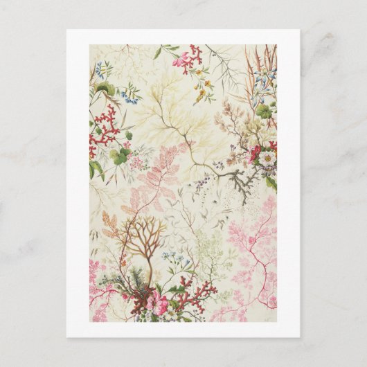 Algenbauweise für Seidenmaterial (w/c auf Papier) Postkarte (Vorderseite)