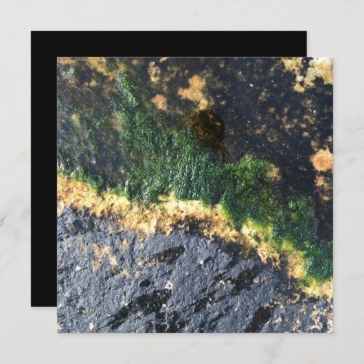 Algenbergwerk Einladung (Vorne/Hinten)