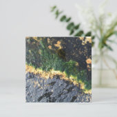 Algenbergwerk Einladung (Stehend Vorderseite)