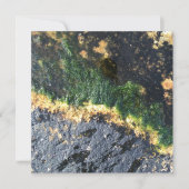 Algenbergwerk Einladung (Vorderseite)