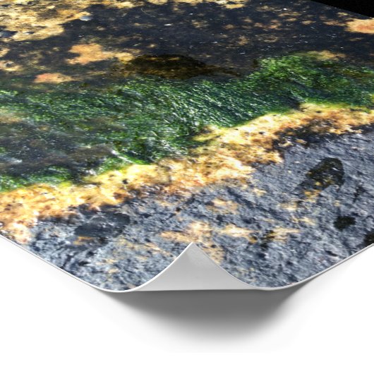 Algenbergwerk Poster (Ecke)