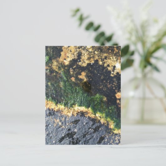 Algenbergwerk Postkarte (Stehend Vorderseite)