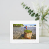 Algenfische Postkarte (Stehend Vorderseite)