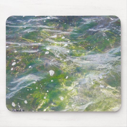 Algengarten unter Wassermousepad Mousepad (Vorne)