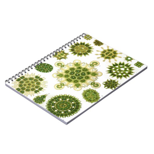 Algennotizbuch Notizblock (Linke Seite)