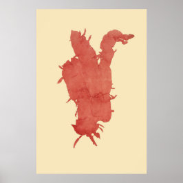 Algenvorschlaf von vier poster