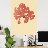 Algenvortrieb, ursprünglich von vier poster (Heimbüro)