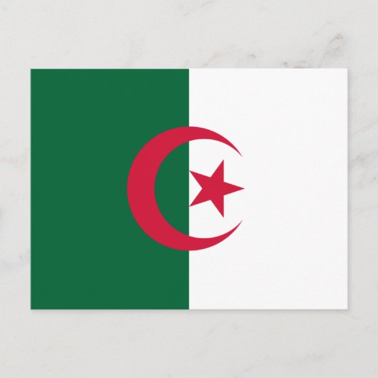 Algerian Flag Postkarte (Vorderseite)