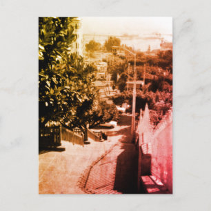 Algerien Algier Stadtteil Überblick Vintage Postkarte