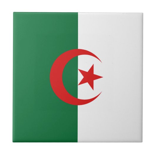 Algerien Keramik Tile Fliese (Vorderseite)
