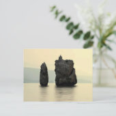 Algerien Postkarte (Stehend Vorderseite)