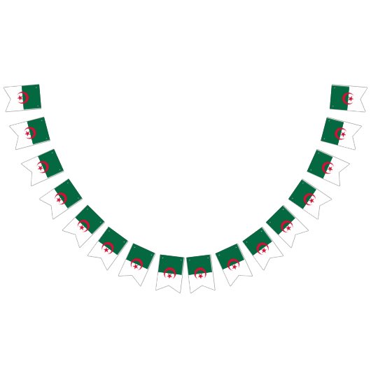 Algerien Wimpelkette (Alle)