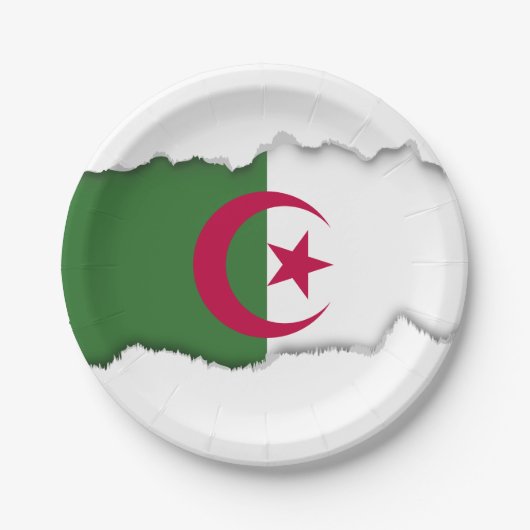 Algerische Flagge Pappteller (Vorderseite)