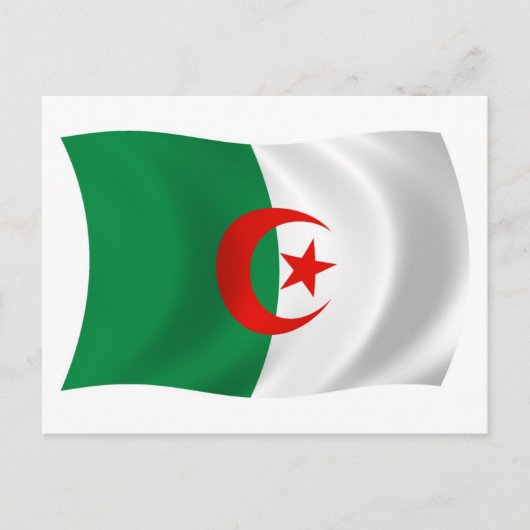 Algerische Flagge Postkarte (Vorderseite)