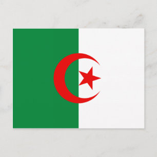 algerische Flagge Postkarte