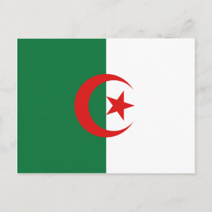 Algerische Flagge Postkarte