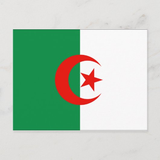 algerische Flagge Postkarte (Vorderseite)
