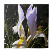 Algerische Iris Hyperrealistische Wildblume Malere Fliese (Vorderseite)