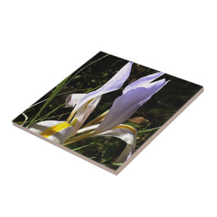 Algerische Iris Hyperrealistische Wildblume Malere Fliese