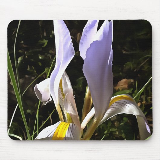 Algerische Iris Hyperrealistische Wildblume Malere Mousepad (Vorne)