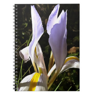 Algerische Iris Hyperrealistische Wildblume Malere Notizblock
