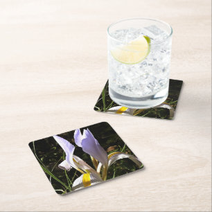 Algerische Iris Hyperrealistische Wildblume Malere Rechteckiger Pappuntersetzer